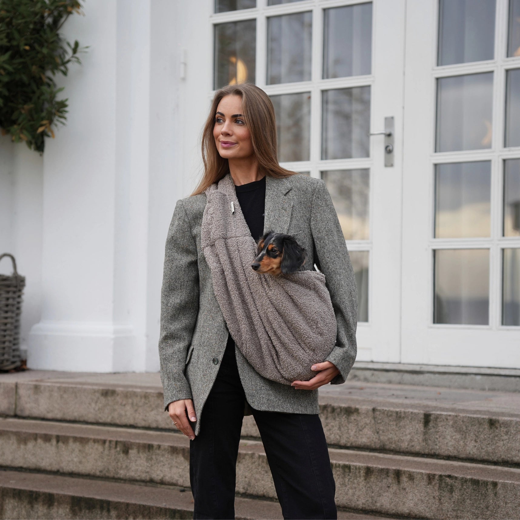 Ava Puppy Carrier | Teddy