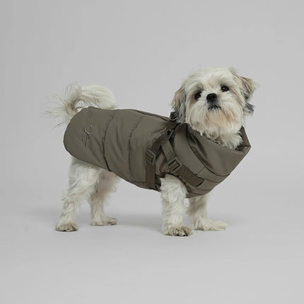 Staey Vera Dog Jacket with Integrated Harness