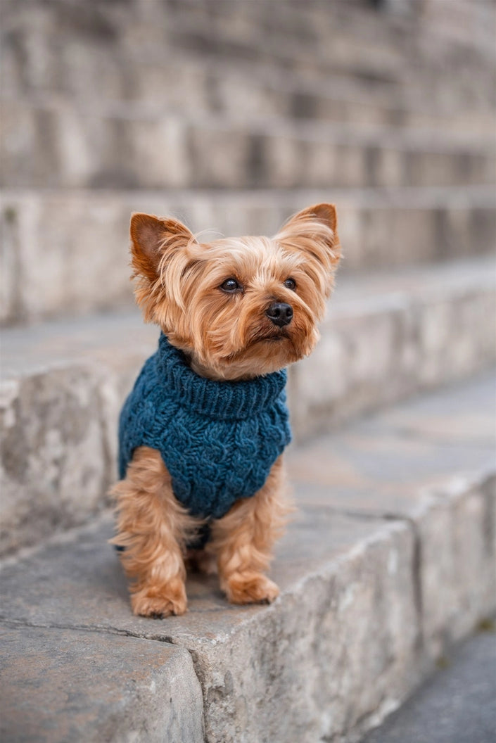 Soft Knit Dog Pullover | Cozy & Stretchy Sweater