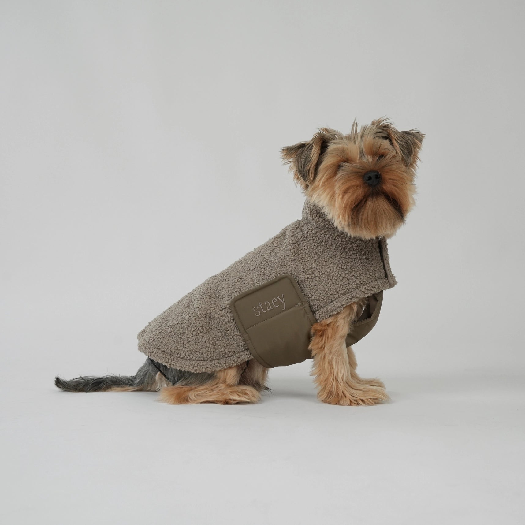 Stylish Teddy Dog Jacket | Soft Transitional Layer