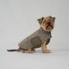 Stylish Teddy Dog Jacket | Soft Transitional Layer