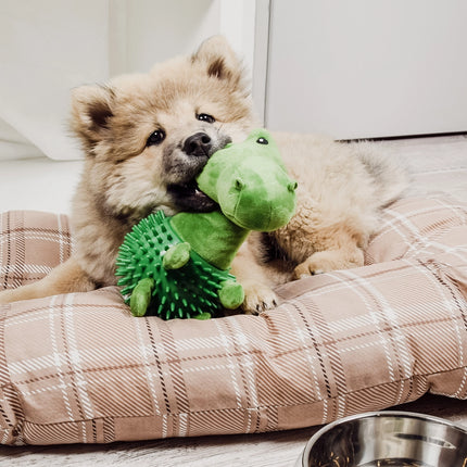 Dog Toy  - Dino Plushie with Squeaker and Nubs