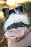 Beige  Waterproof Dog Raincoat with Hood