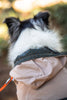 Beige  Waterproof Dog Raincoat with Hood