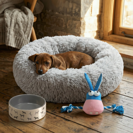 Puppy Essentials Starter Pack | Complete New Dog Kit