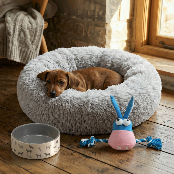 Puppy Essentials Starter Pack