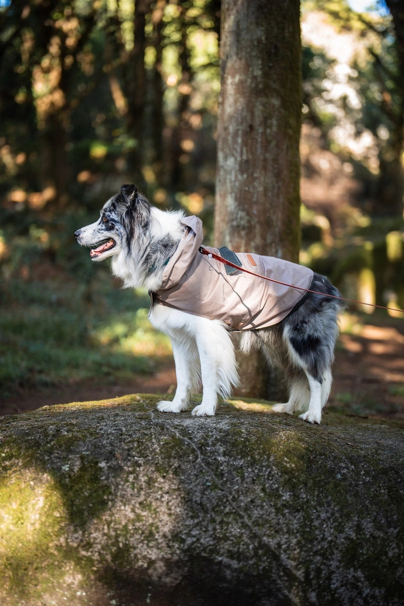 Beige  Waterproof Dog Raincoat with Hood