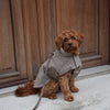Stylish Teddy Dog Jacket | Soft Transitional Layer
