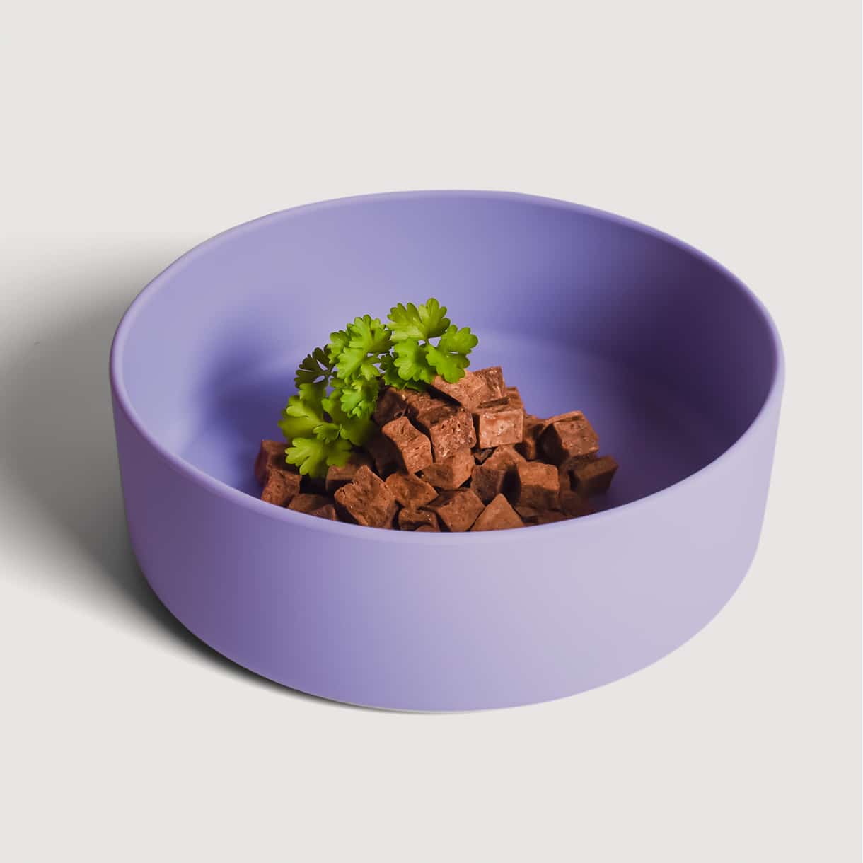 Non-Slip Silicone Dog Bowl