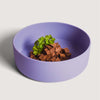 Non-Slip Silicone Dog Bowl