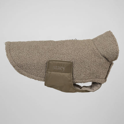 Stylish Teddy Dog Jacket - The Perfect Transitional Layer