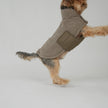 Stylish Teddy Dog Jacket | Soft Transitional Layer
