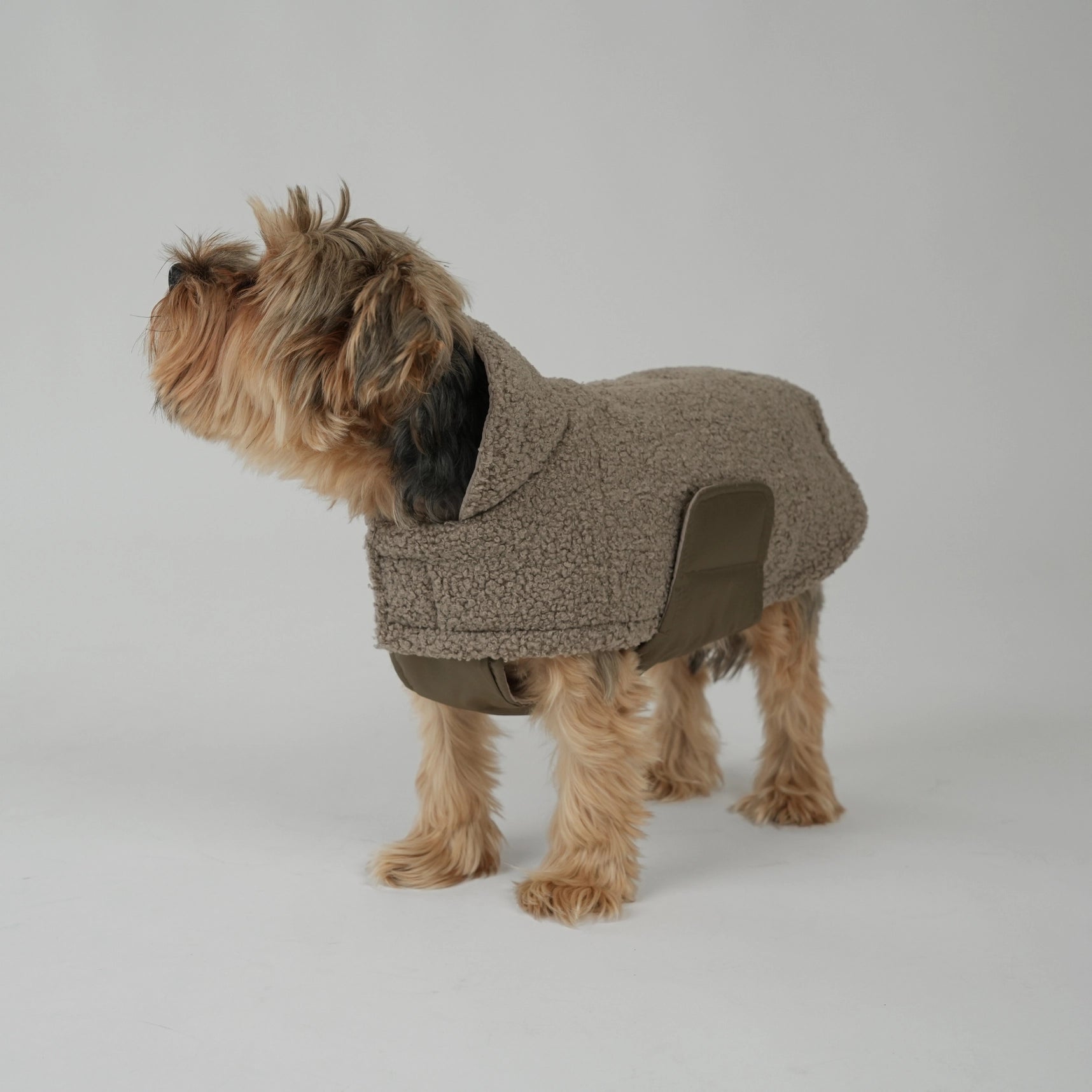 Stylish Teddy Dog Jacket | Soft Transitional Layer