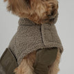 Stylish Teddy Dog Jacket | Soft Transitional Layer