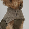 Stylish Teddy Dog Jacket | Soft Transitional Layer
