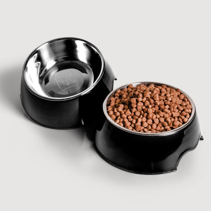 2-Piece Stainless Steel Dog Bowl Set | Rustproof