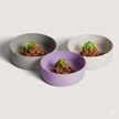 Non-Slip Silicone Dog Bowl