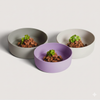 Non-Slip Silicone Dog Bowl