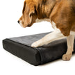 Orthopedic Dog Bed w/ Memory Foam