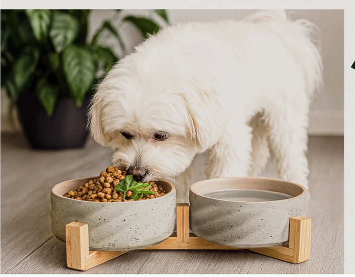 Luxury Ceramic Double Dog Bowl with Bamboo Stand