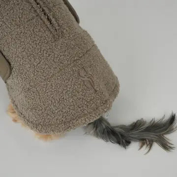 Stylish Teddy Dog Jacket | Soft Transitional Layer