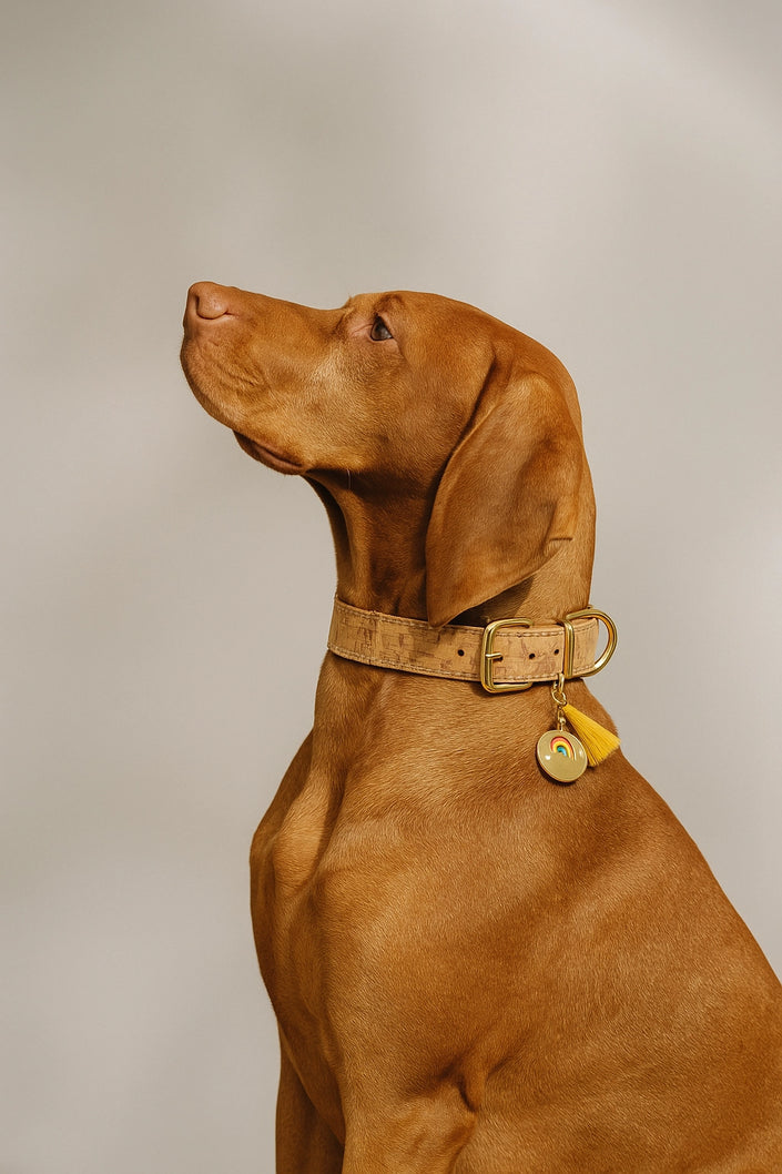 Corky Natural Cork Dog Collar | Sustainable & Durable