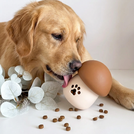 Dog Toy - Mushroom Shaped Treat Dispensor