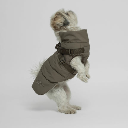 Staey Vera Dog Jacket with Integrated Harness