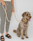 Cotty 100% Natural Cotton Dog Leash | Eco-Friendly