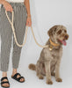Cotty 100% Natural Cotton Dog Leash | Eco-Friendly